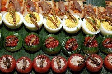 盘点：世界各地的“非主流”食物