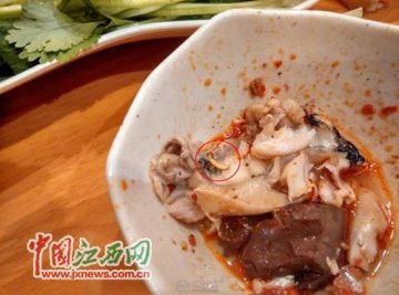 南昌季季红吃出蛆 店家吐槽网友：赔了钱还曝光