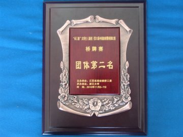 我校师生在“长三角”大学生（高校）第六届中国象棋暨桥牌比赛中获亚军
