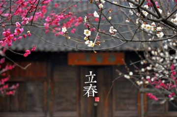 图说二十四节气 美到令人窒息