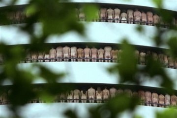 2000名男女在停车场参加裸体摄影
