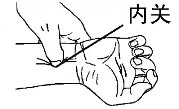 冬季常揉内关穴