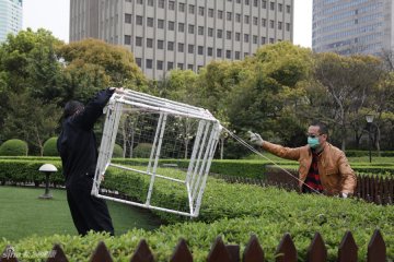 11.管理员将笼子移到另一块草皮上