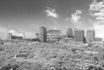 科技创新求发展 医疗防治铸辉煌——山东省医学科学院建院五十周年医疗防治工作巡礼