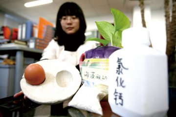 一枚人造鸡蛋的诞生记