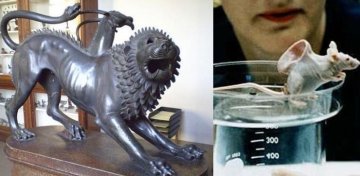 半兽人将诞生？155个“人兽”胚胎引恐慌