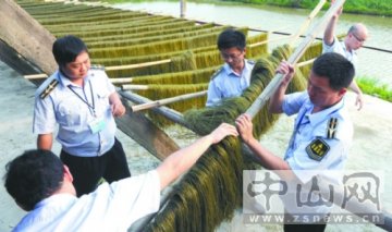 石蜡墨汁染制红薯粉