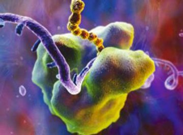科学家称纳米人造细胞未来可用于制造抗生药物