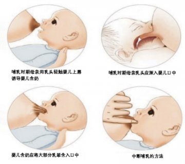 走出母乳喂养的困惑