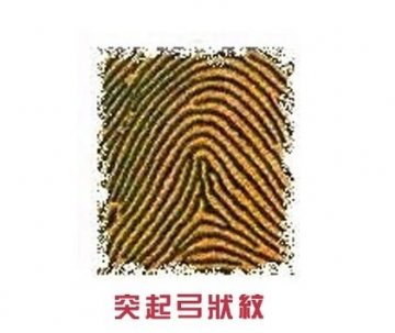 右手食指透露你的爱情秘密