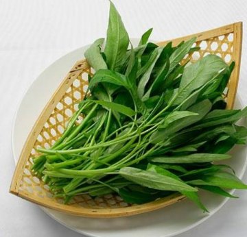 饮食养生：名中医最推荐的9种长寿食物