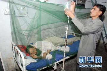 巴基斯坦登革热死亡病例上升至38例
