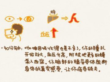 图解：喝一罐可乐后一小时内身体有啥反应