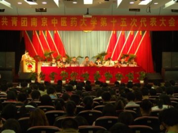 我校共青团第十五次代表大会胜利召开