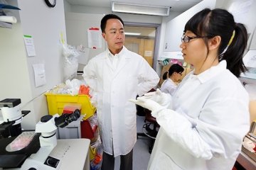 复旦研究人类胚胎干细胞移植获新进展