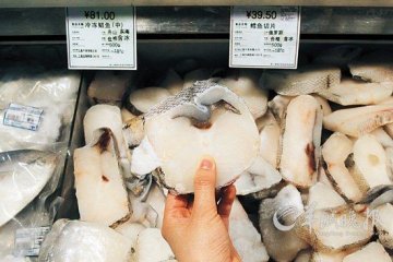 广州多家超市售低价鳕鱼 油鱼食用内地无限令