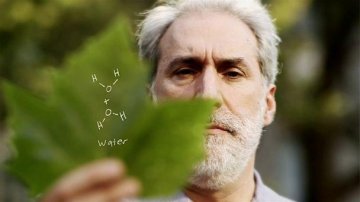科学家研制人造树叶 可生产廉价环保能源