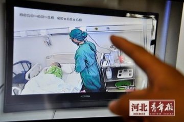6岁男童患白血病 父母再生女求脐带血
