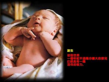 揭秘人类生命诞生全程