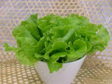 立夏瘦身攻略：360度完美瘦身计划