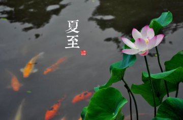 图说二十四节气 美到令人窒息