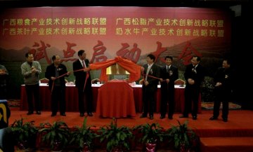 广西粮食奶水牛松脂茶叶产业技术创新联盟启动