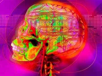 科学家将建模人类大脑 超级机器人或毁灭人类
