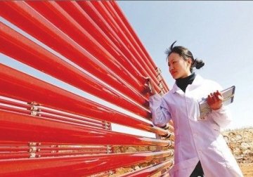 云南微藻规模化培养技术实现新突破