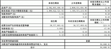 山东鲁抗医药股份有限公司2005年第一季度季度报告（节录）