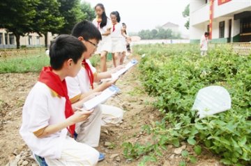 浙江长兴：“神农园”建到小学去