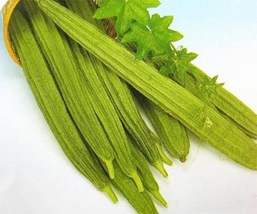 春夏健康指南：女性受乳腺增生困扰可多吃丝瓜