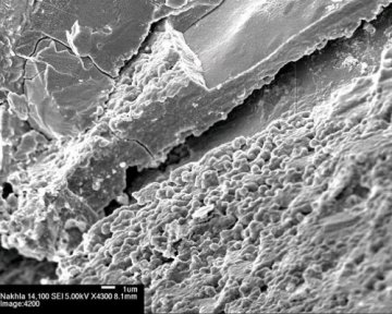 科学家在火星陨石中发现疑似火星远古生命迹象