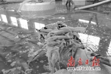工业明胶还会弄“脏”谁？软糖肉皮冻可能中招