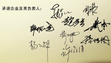 庄严承诺