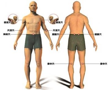 养生常按身上的五个“窝”