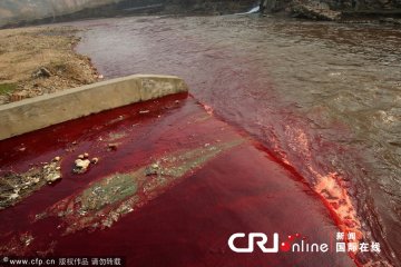河南洛阳涧河河水变成血红色 又是污染？