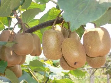 冬季养生秘笈之六：冬季适宜吃的保健水果