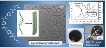 IBM研究院：塑料瓶未来可用于治疗真菌感染